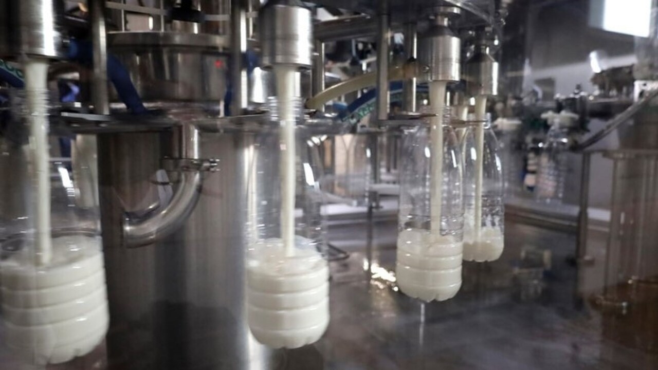 Экспорт агропромышленной продукции Самарской об...