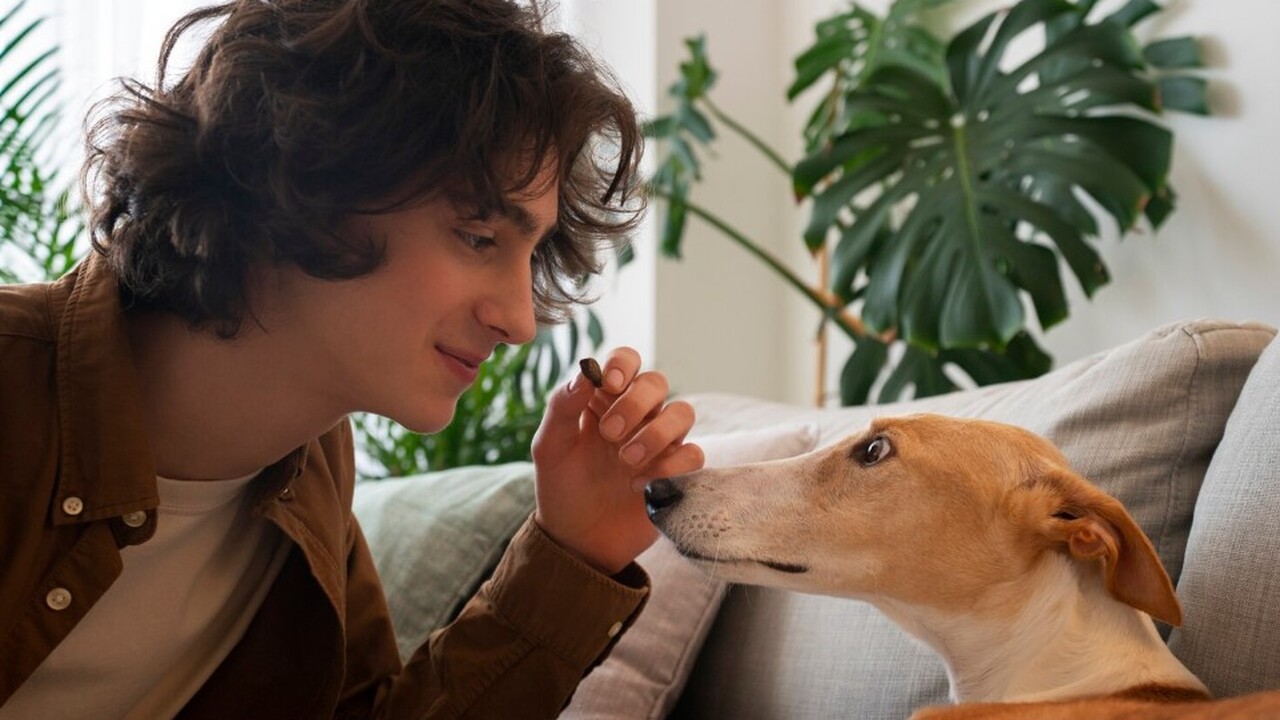 В современной биологии и медицине проведено нов...