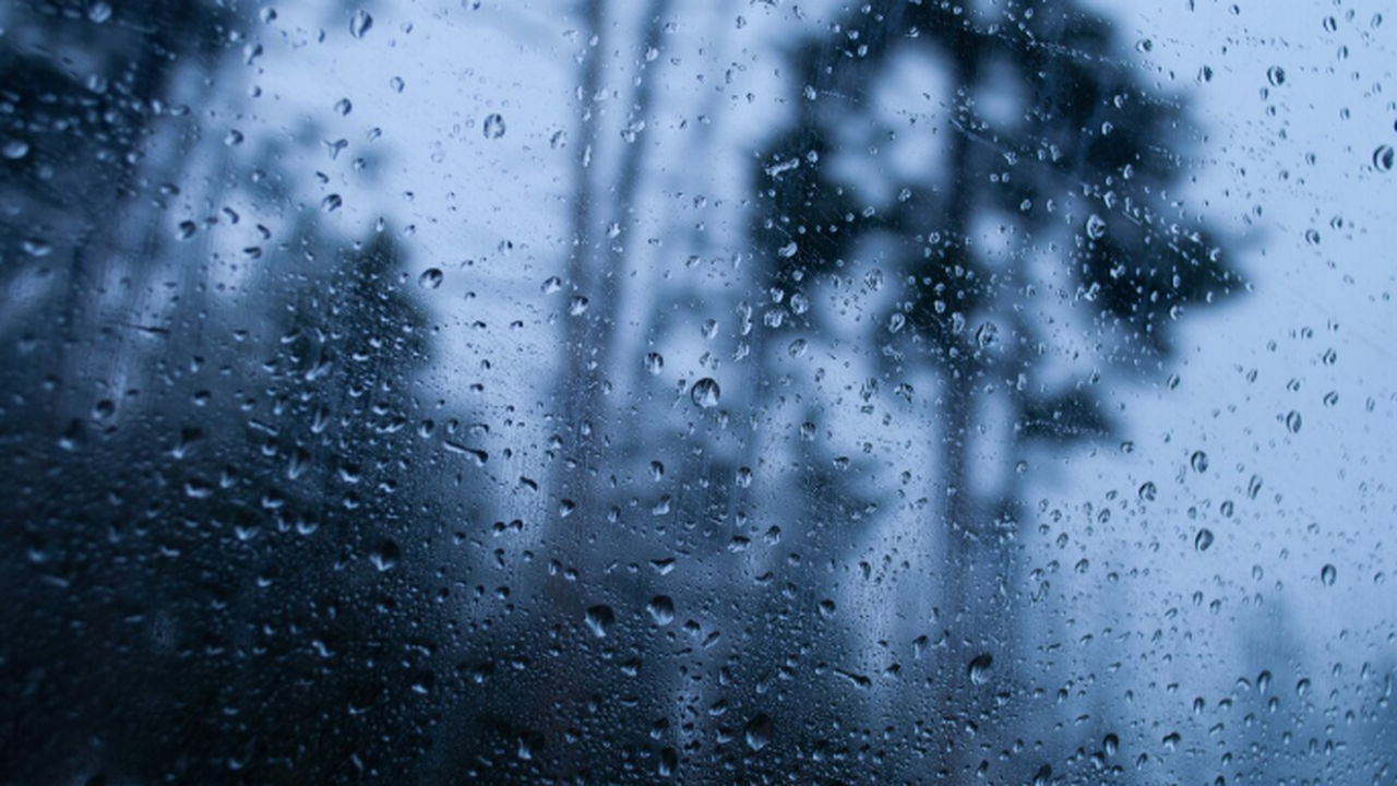 Специалисты рассказали жителям, сколько в Самарской области будут идти дожди В Самарской области наблюдаются неблагоприятные...