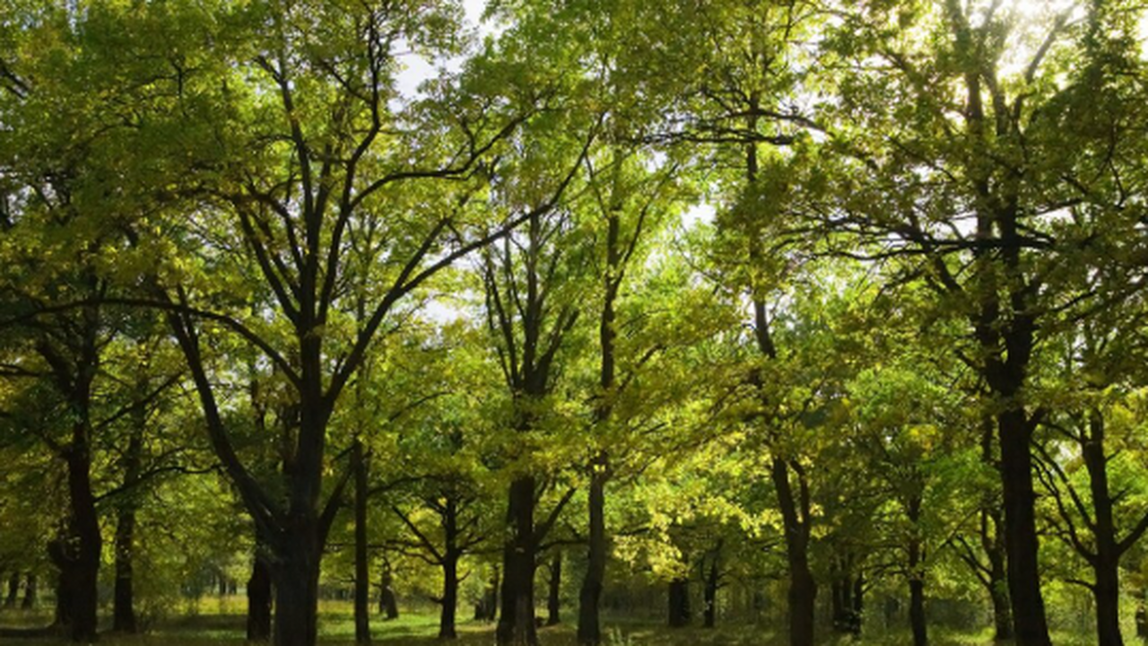 5 апреля в Самарской галерее «Виктория» состоит...