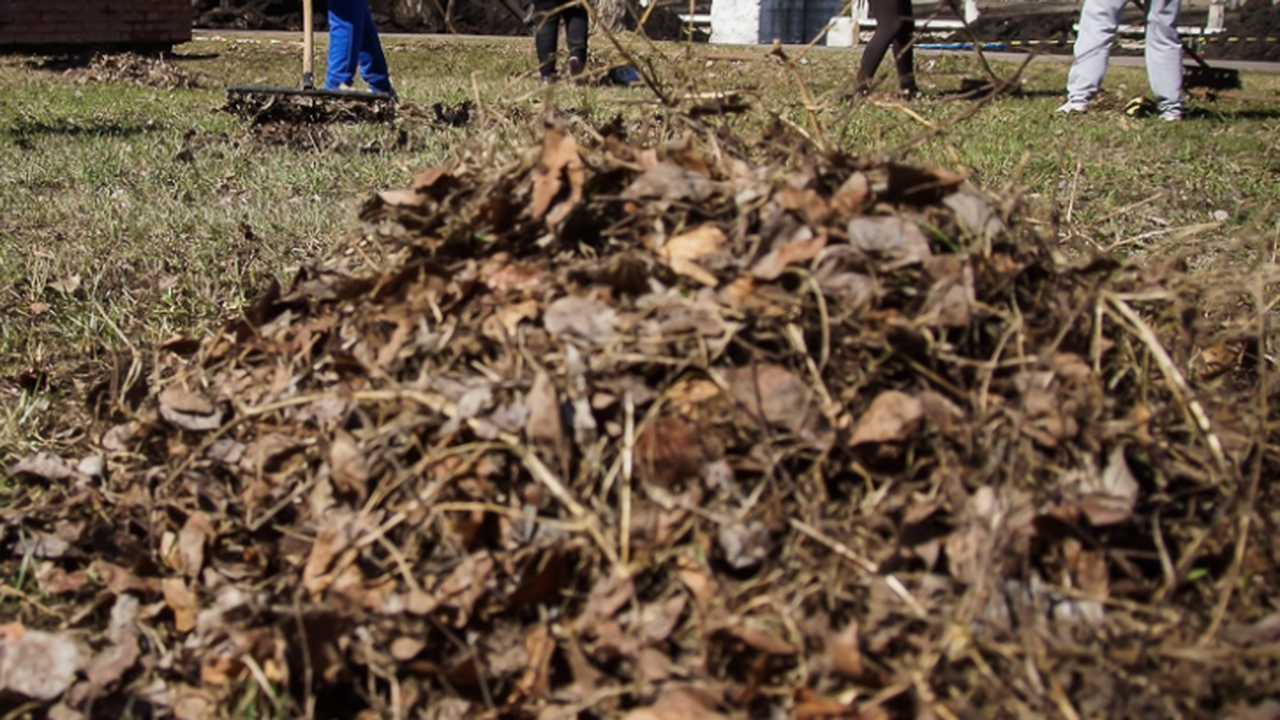 В Самаре начат мониторинг качества уборки город...