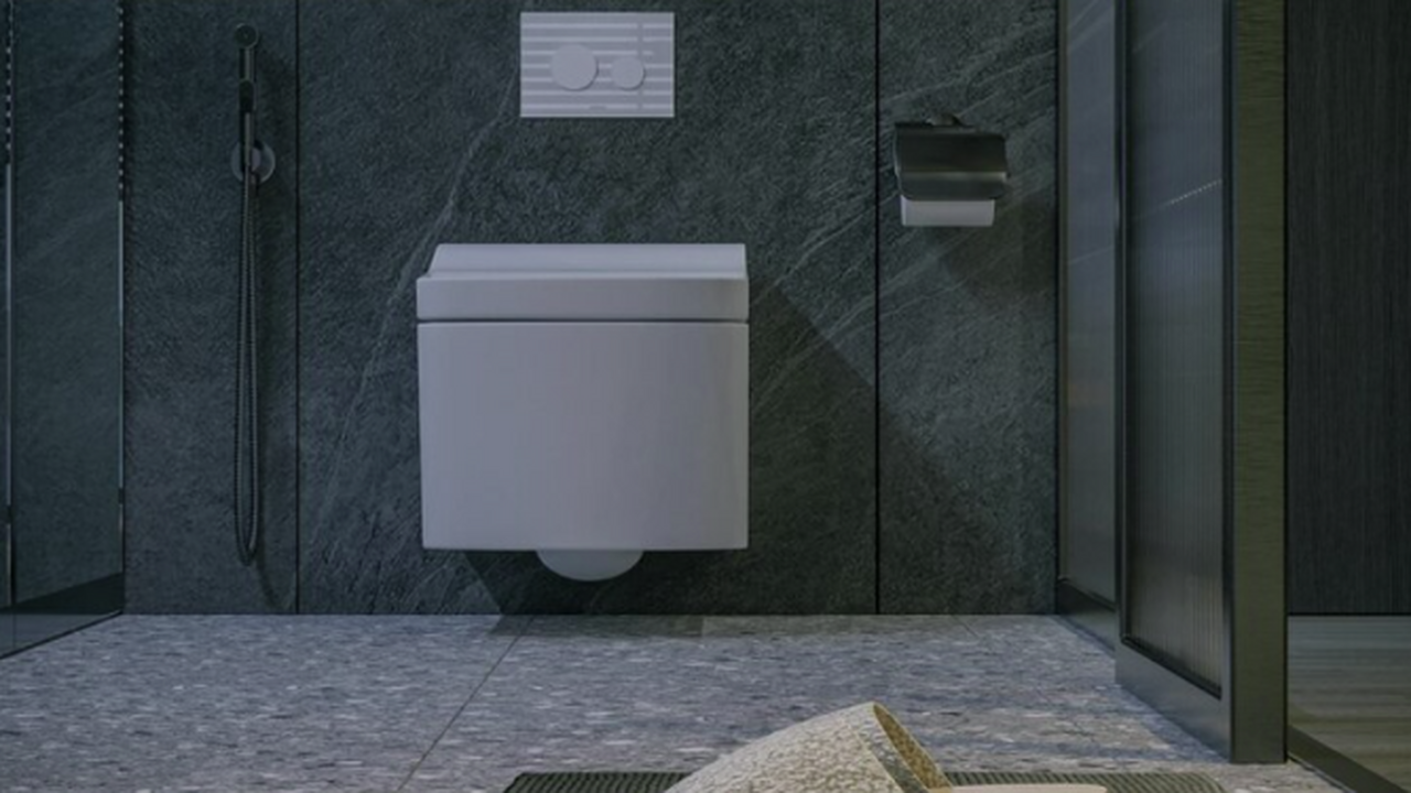 Унитазы уходят в прошлое: новый туалетный тренд уже добрался до России — многие не готовы к такому Унитазы в привычном понимании стремительно уход...