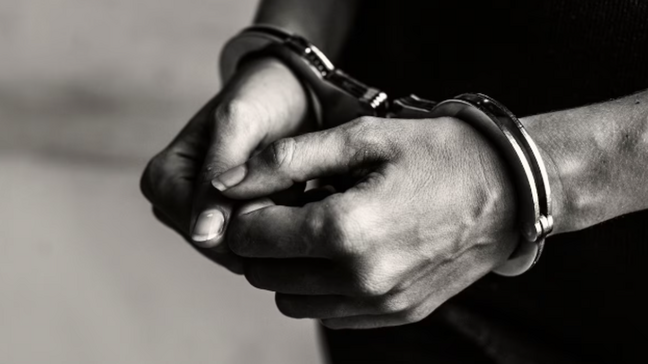 В Самаре был арестован фигурант дела о мошенничестве на 113 млн рублей Октябрьский районный суд города Самары вынес по...