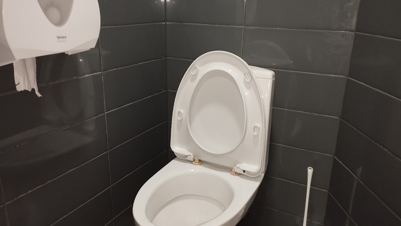 Представьте, что ваш унитаз вдруг стал заботлив...