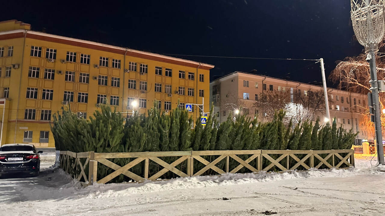 В рамках масштабного оперативного мероприятия, ...