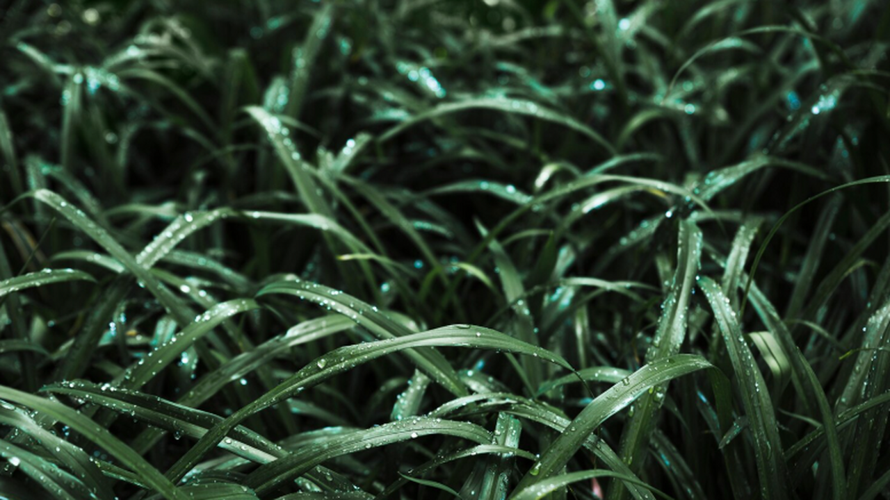 Врач Екатерина Орлова предоставила рекомендации...