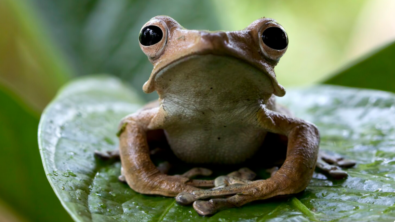 Факт: В 2025 году самым мощным суперкомпьютером...