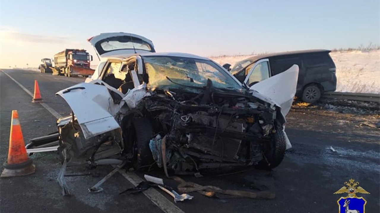 22 января на территории Самарской области зарег...