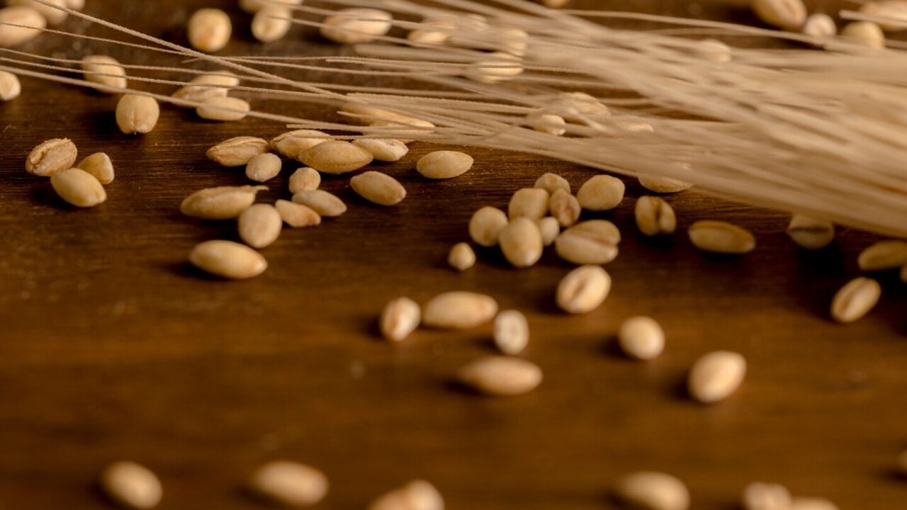 Международное исследование, выполненное в рамка...