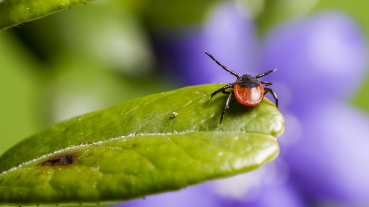 В начале апреля 2026 года на западе Сибири ожид...