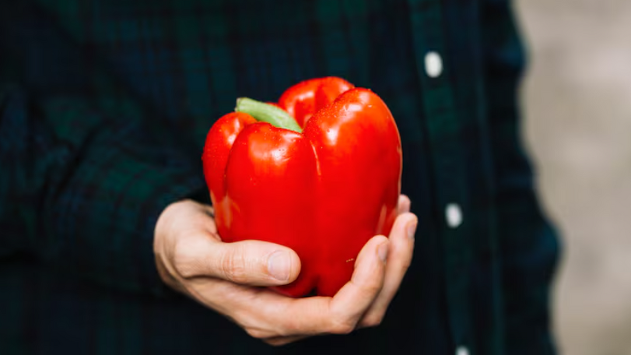 “Золотая снежность”: новый сорт перца, который ...