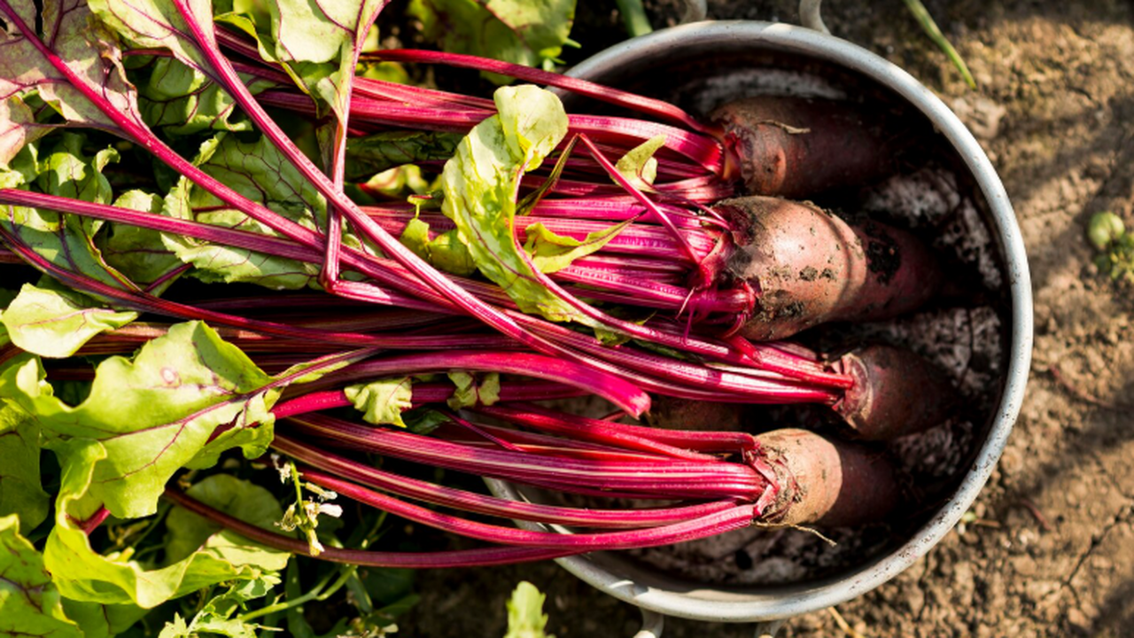 Вместо трех часов у плиты: свеклу готовлю за 15 минут — раскрыт главный секрет Свекла — ценный источник витаминов и антиоксида...