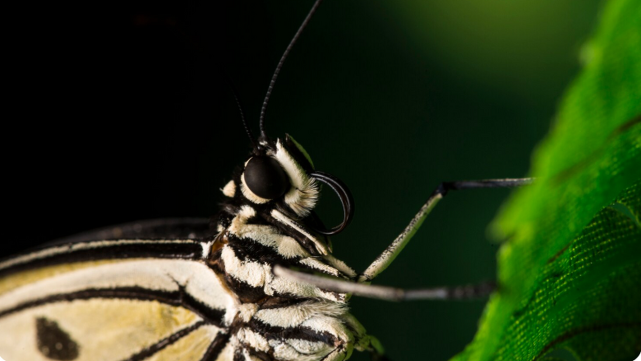 Специалисты Института нефтегазовой геологии и г...