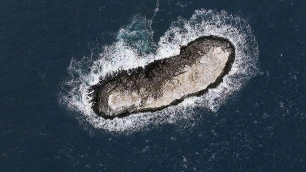 С 8 февраля 2026 года международная команда из ...