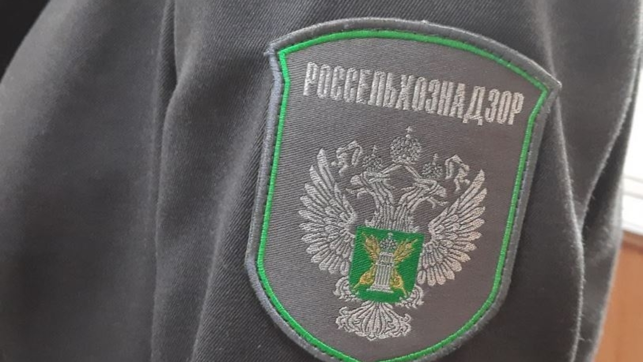 В аэропорту «Курумоч» задержали 46 кг продуктов без сроков годности Отдельно ведомство проконтролировало перемещени...