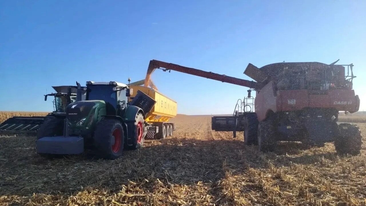 В Волжском районе Самарской области начали убирать кукурузу Урожайность кукурузы в районе превысила 70 цент...