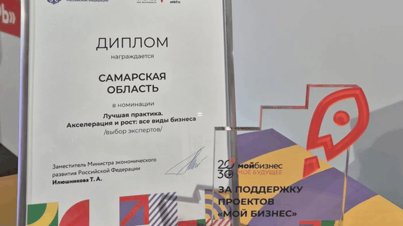 Практики Самарской области по поддержке предпри...