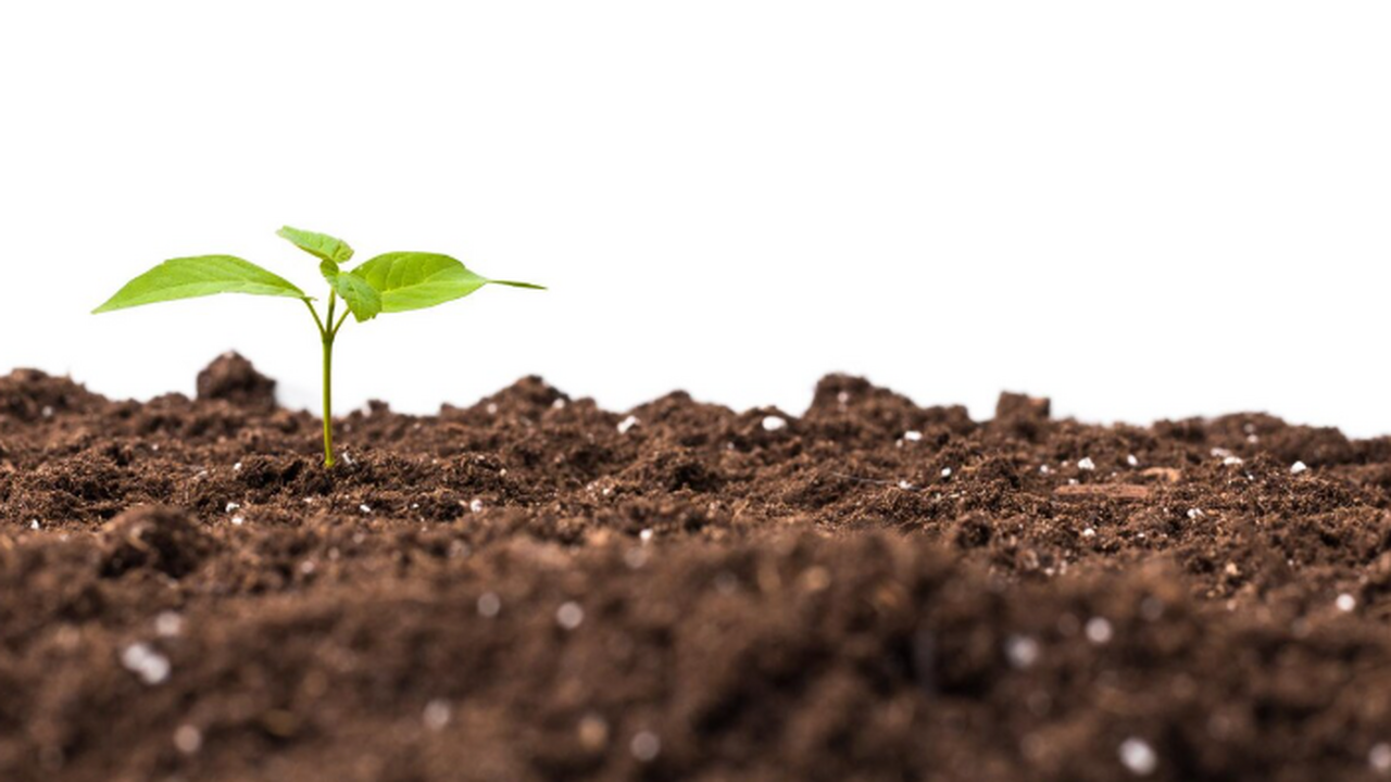 Почва представляет собой не только фундаменталь...