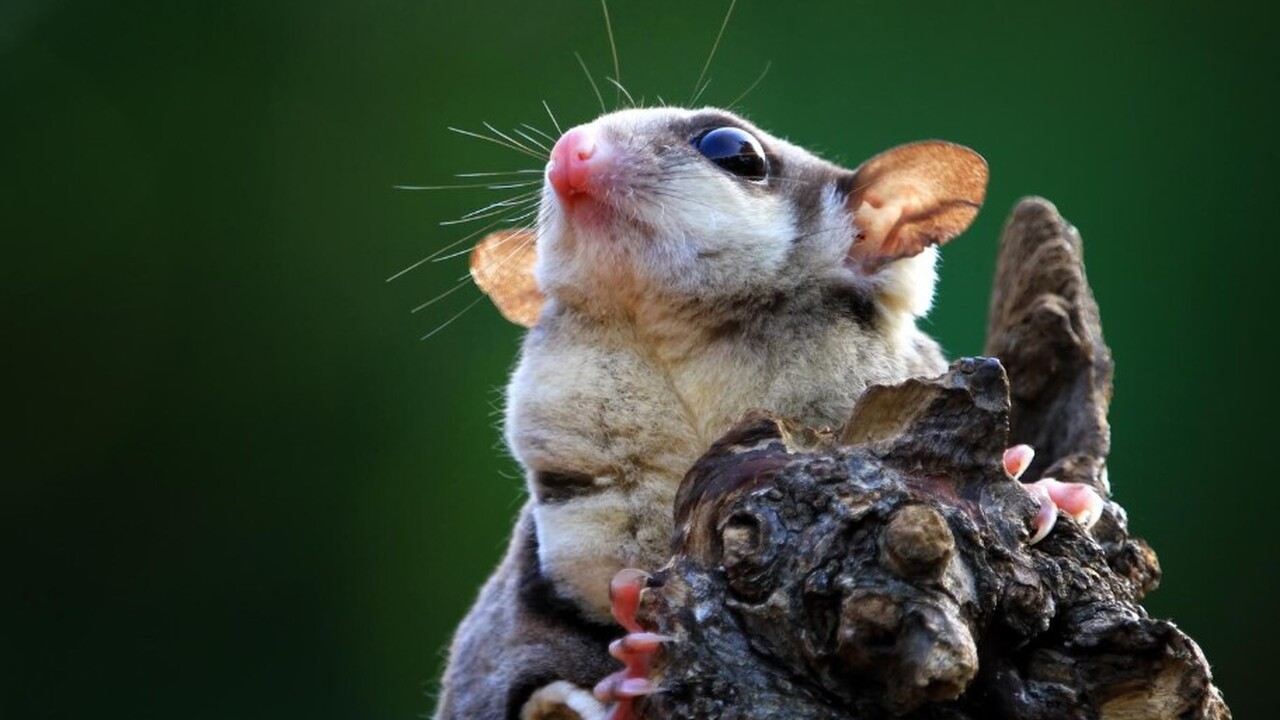 Лаборатория ALEC Мельбурнского университета про...