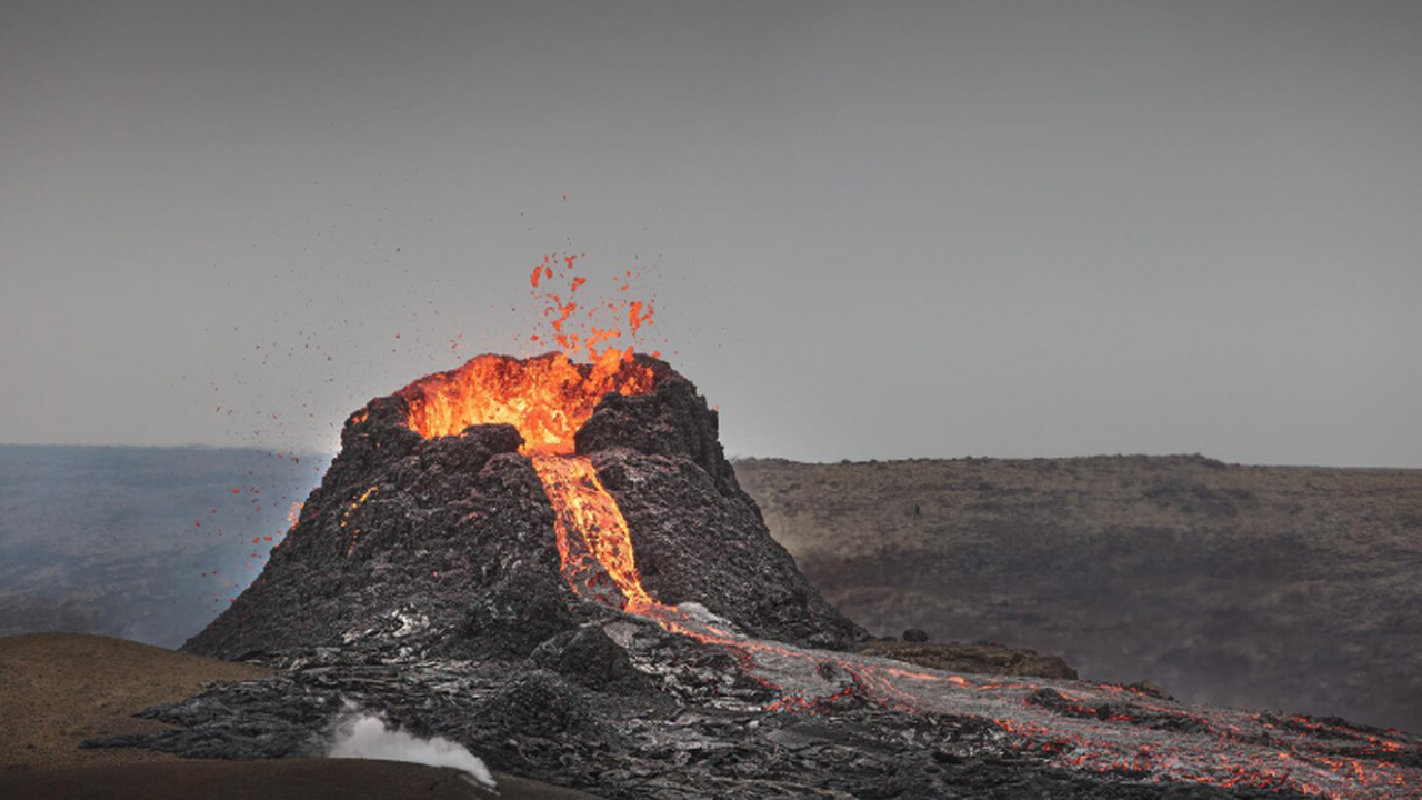 Группа ученых из Университетского колледжа Лонд...