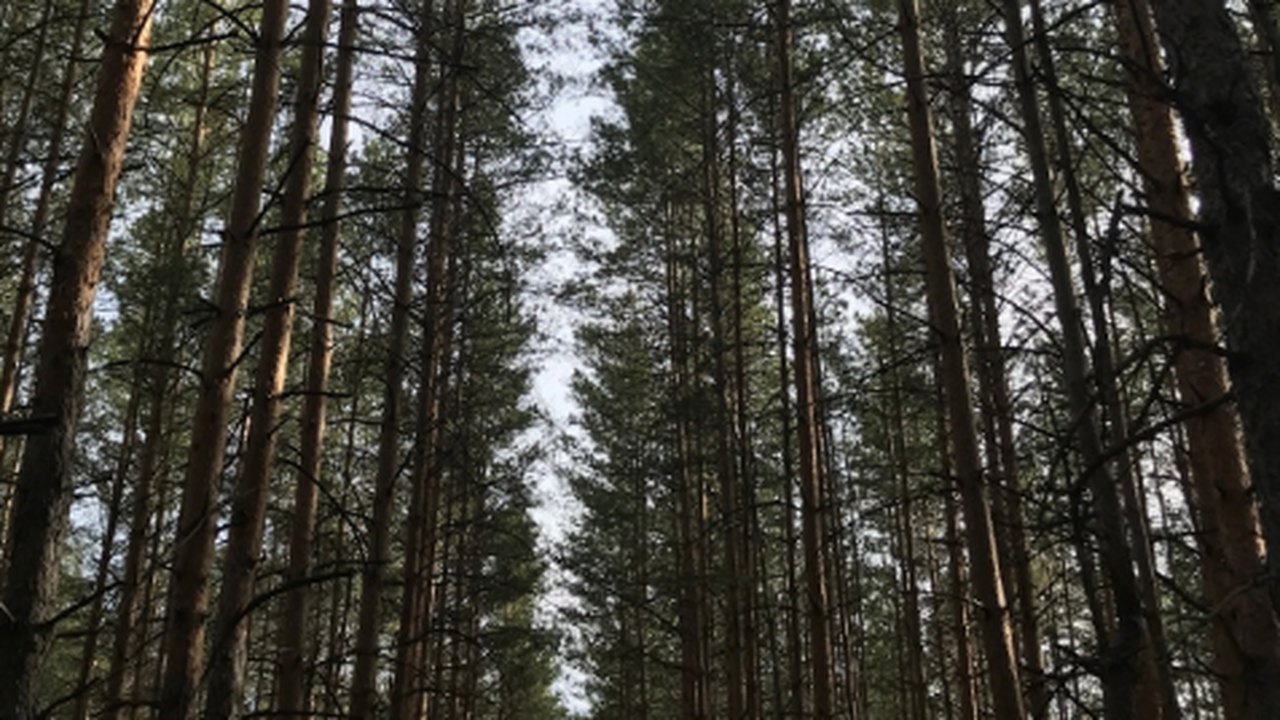 В Жигулевске организуют креативный кластер для молодежи В городе Жигулевске на территории культурного ц...