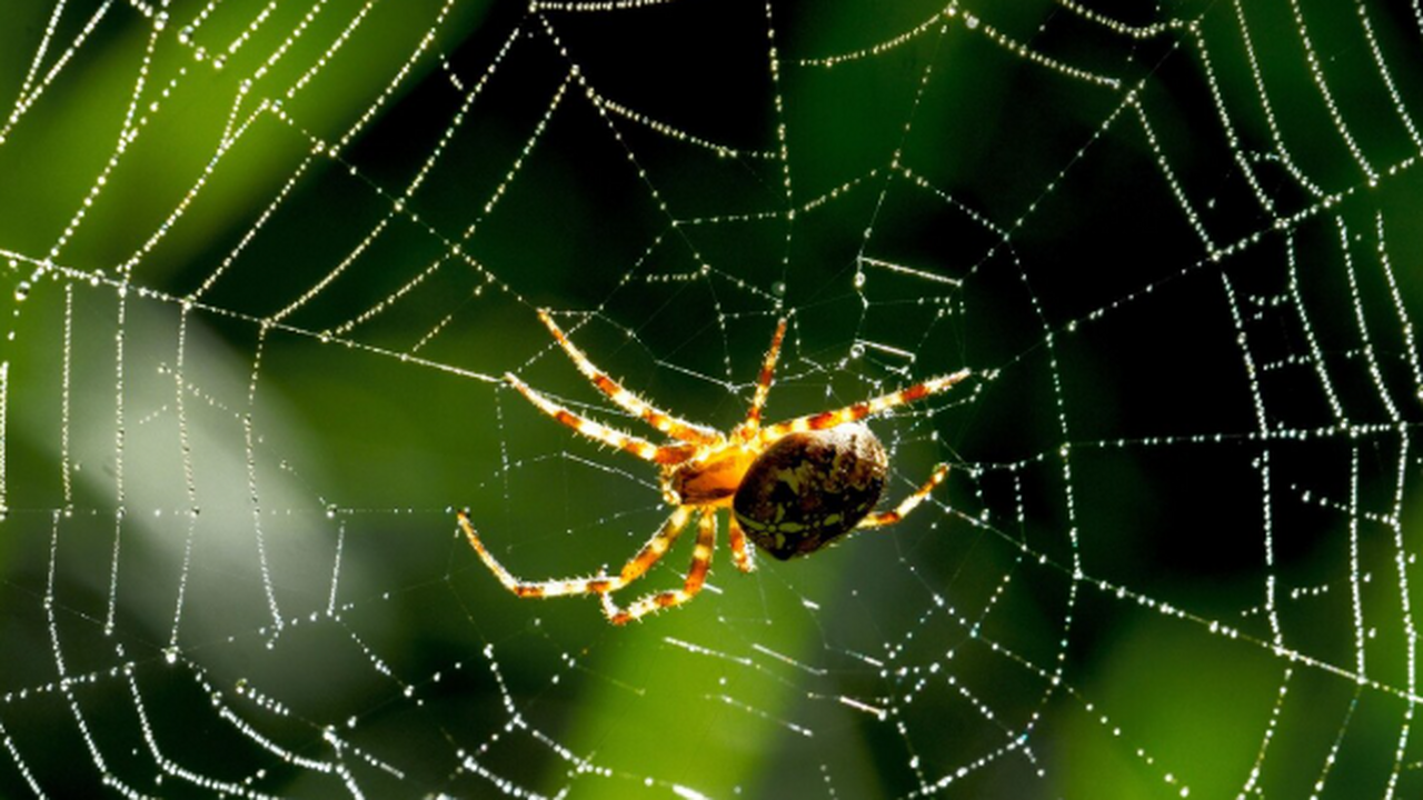 Сотрудники кафедры зоологии и аквакультуры Крым...