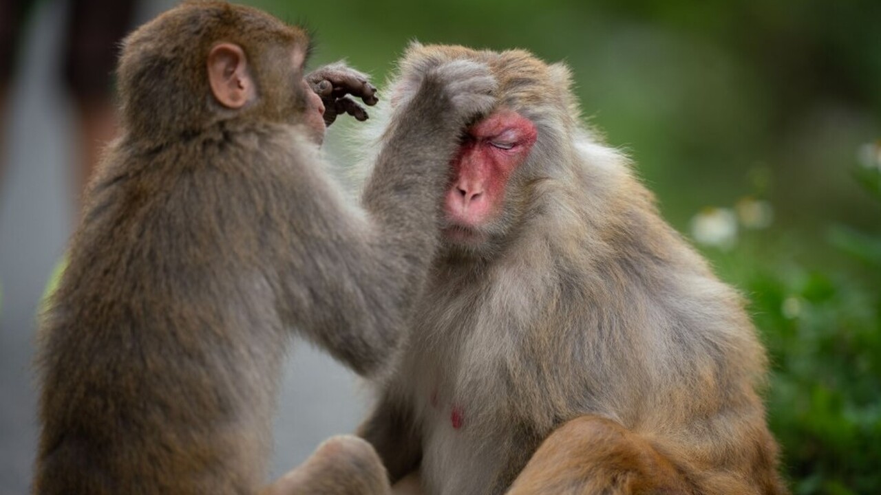 Оксфордский университет представил результаты и...