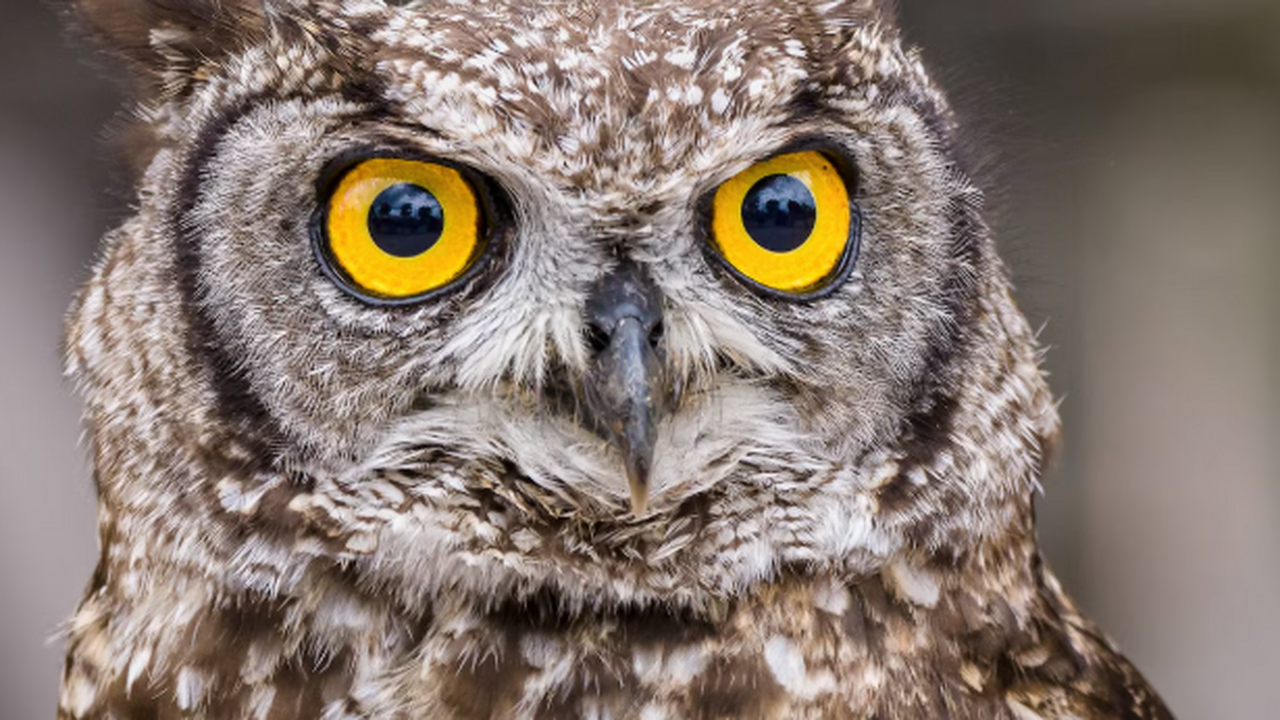 В Самаре жители выражают беспокойство по поводу...