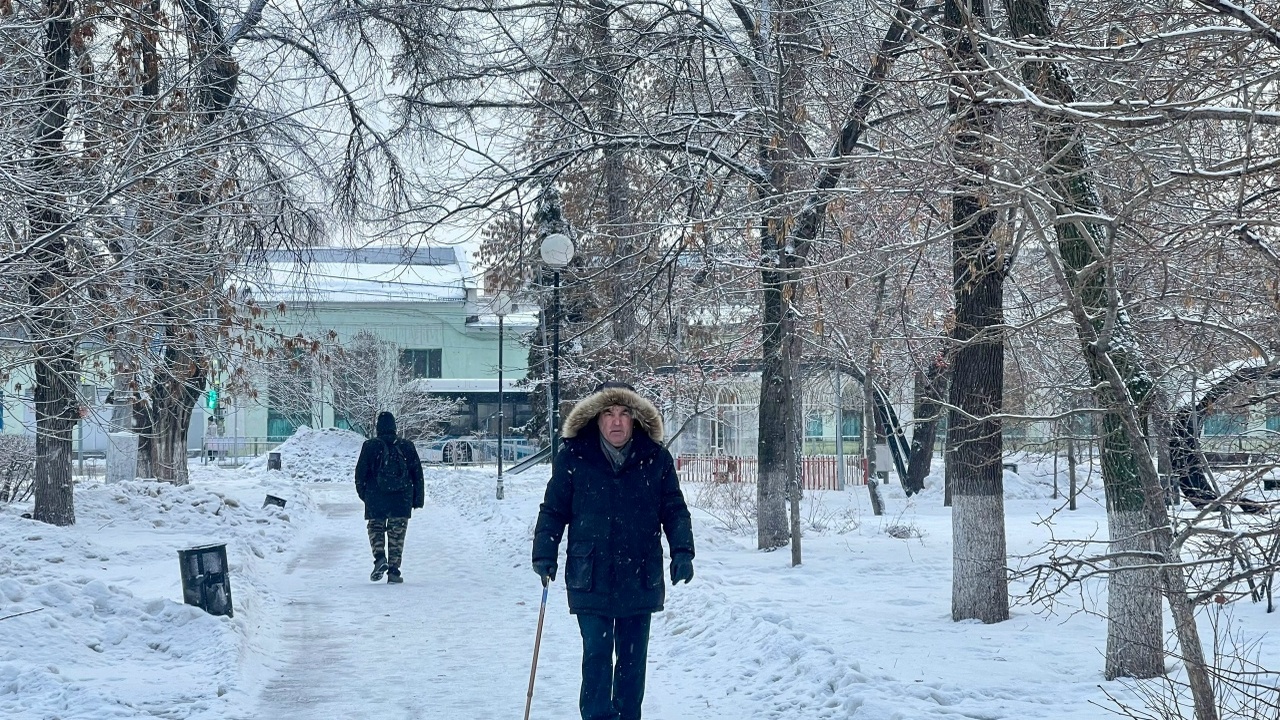 Всемирная организация здравоохранения (ВОЗ) опр...