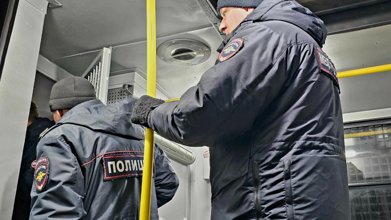 В ходе предварительного следствия по уголовному...