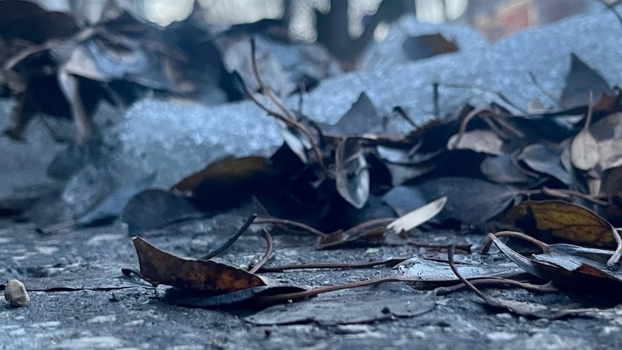 "Начинайте готовиться к весне, пока еще не поздно": синоптики Гидрометцентра предупредили россиян об аномальной смене сезонов Гидрометцентр прогнозирует климатический “строб...