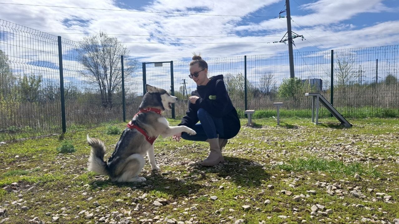В последние месяцы в соцсетях и медиа все чаще ...