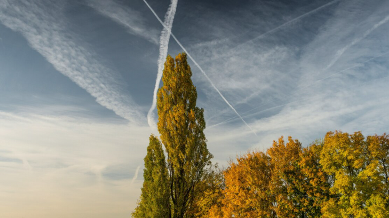 23 марта в Самарской области был зафиксирован н...