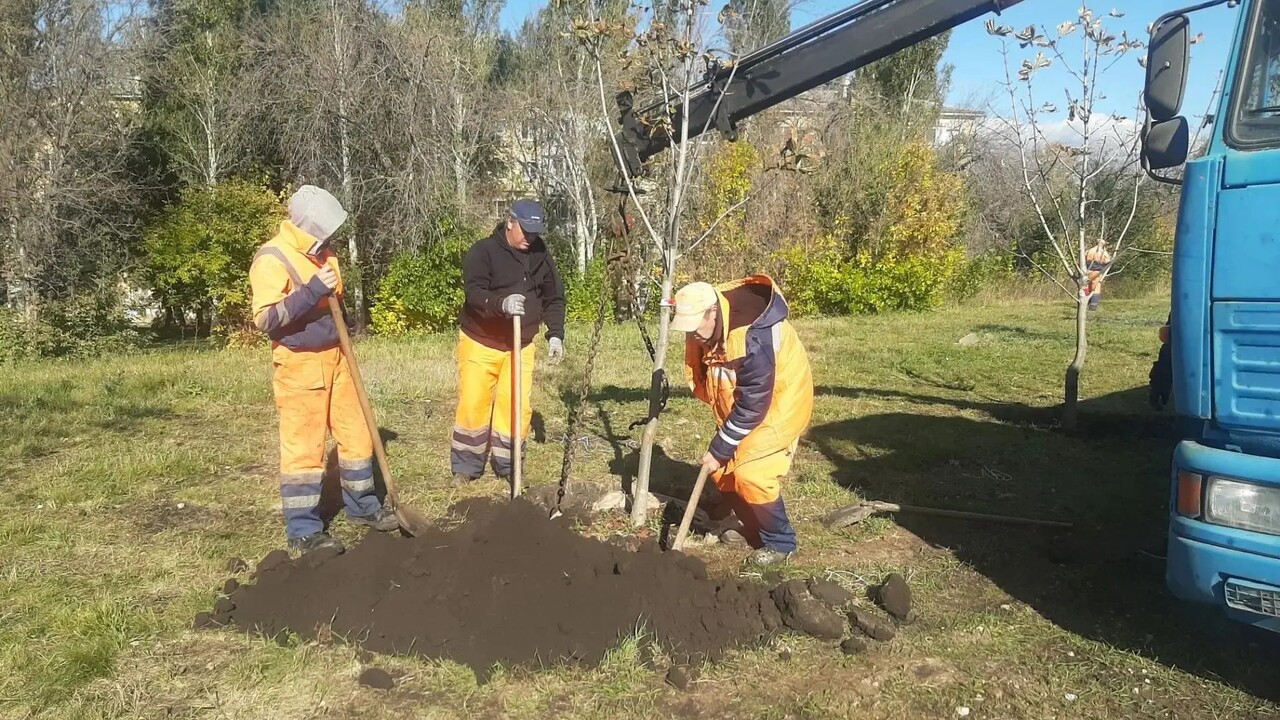 На 18-м километре Московского шоссе появятся 50...