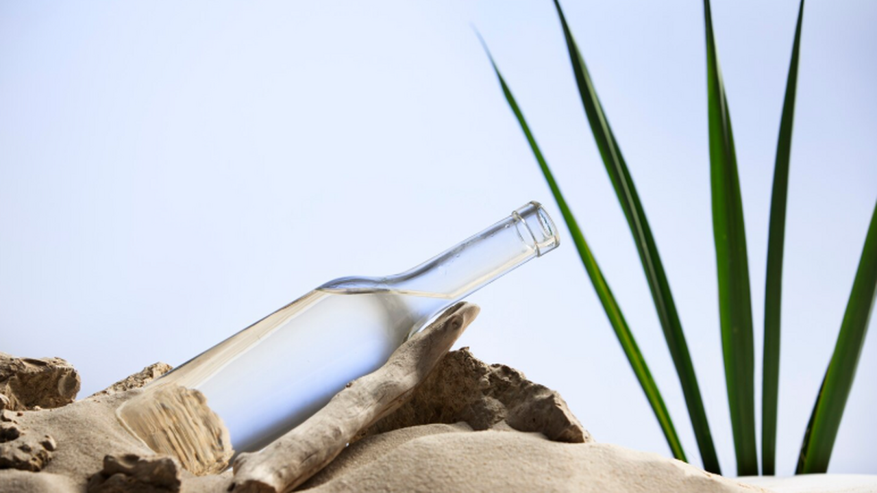 На побережье Новой Зеландии обнаружен артефакт ...