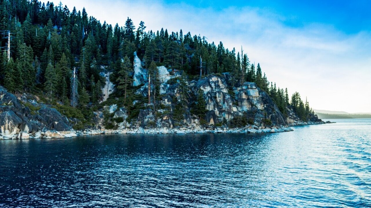 С 2021 года ученые Санкт-Петербургского государ...