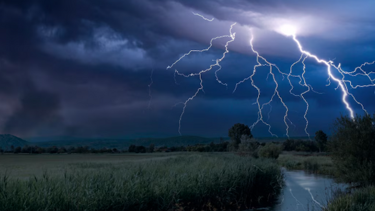 С весны в Самарской области наблюдается дефицит...