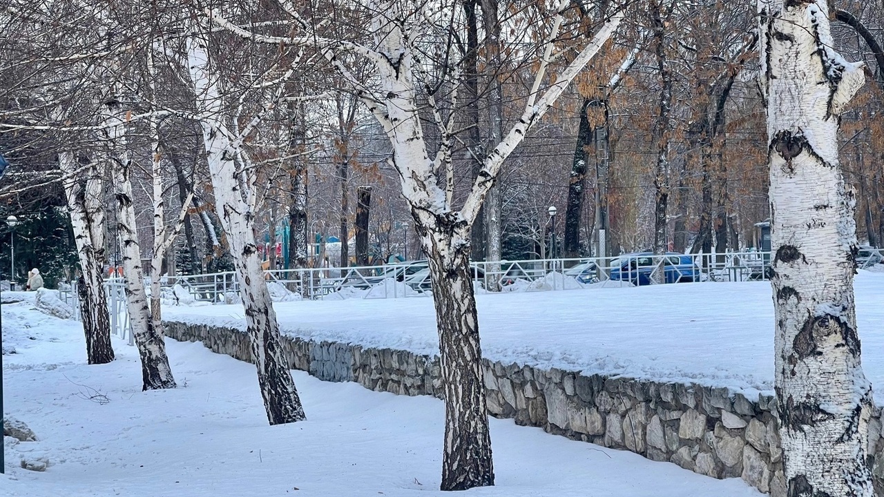 В самарском регионе с этой недели начинается по...