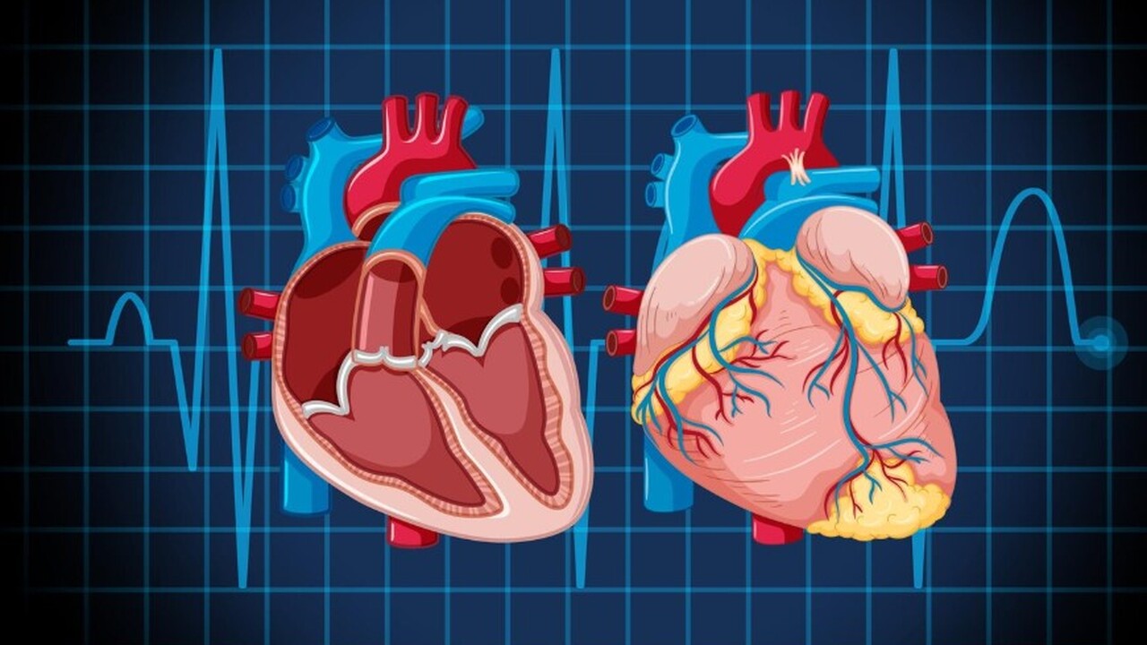 В журнале BMC Medicine опубликованы результаты ...