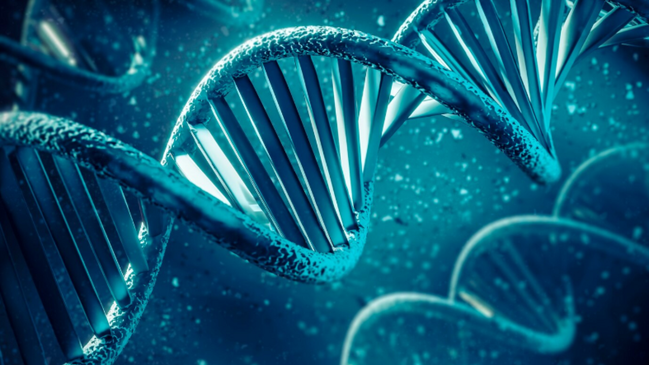 В рамках проекта 4D Nucleome учёные создали сам...