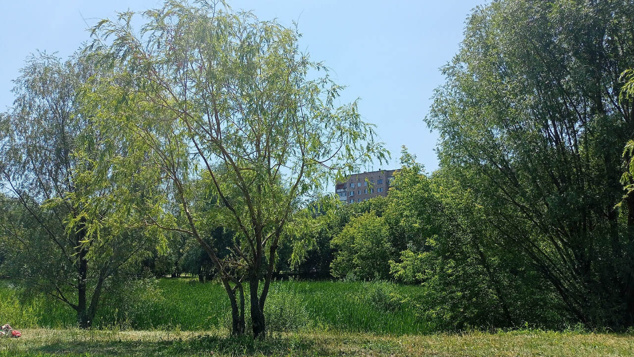 В Самаре разгорелся конфликт между любителями в...