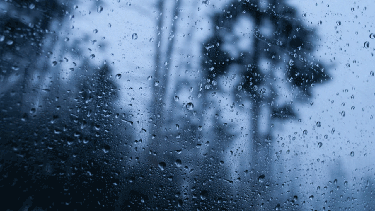 В регионе прогнозируются атмосферные осадки.  В...