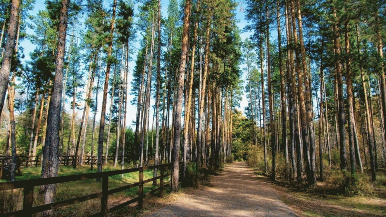 В рамках национального проекта «Инфраструктура ...