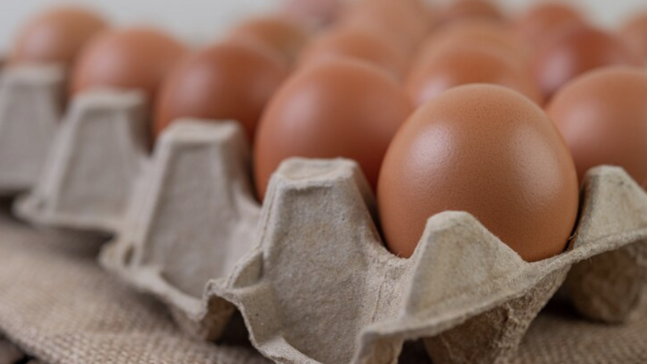Картонные лотки из-под яиц — неожиданный лайфха...