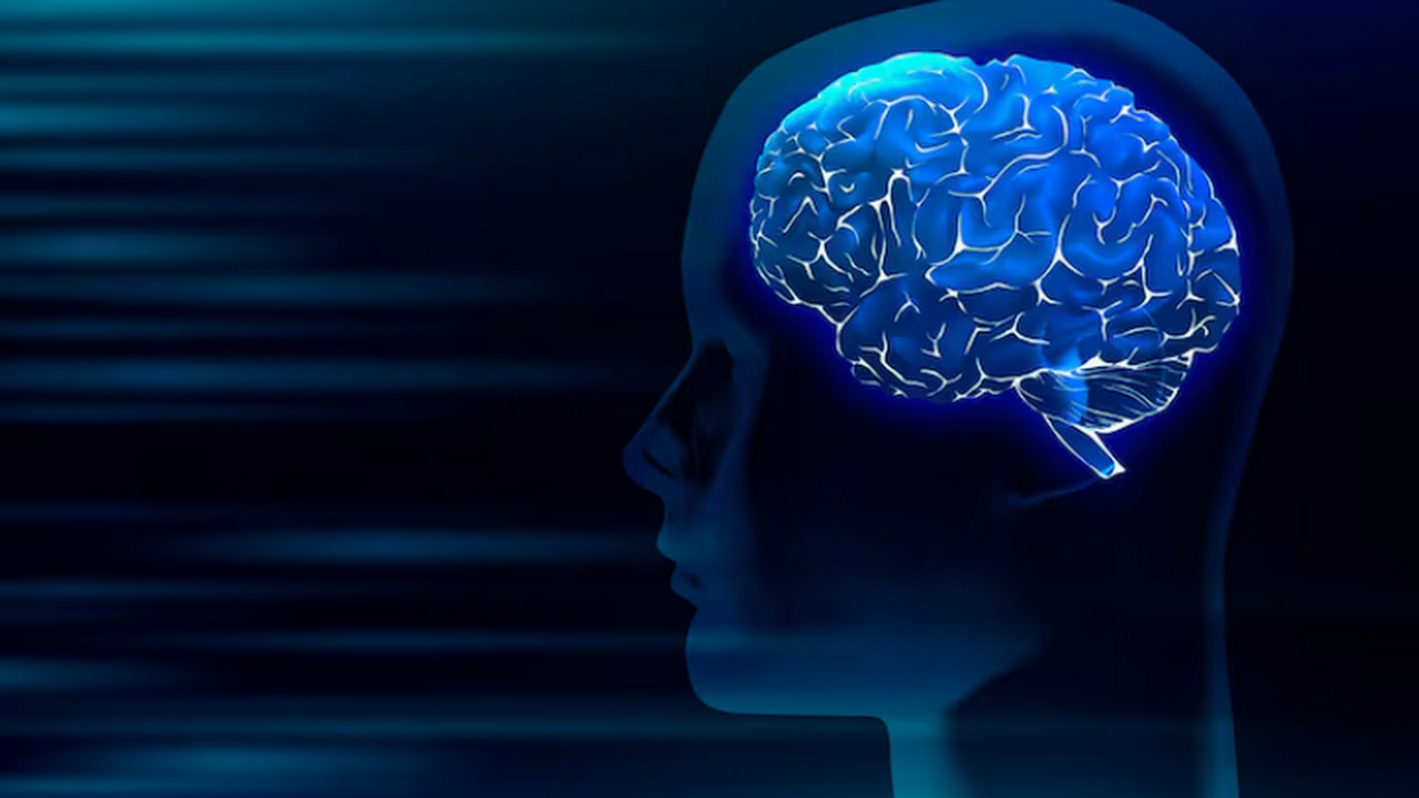 Ученые из Университета Бергена провели метаанал...