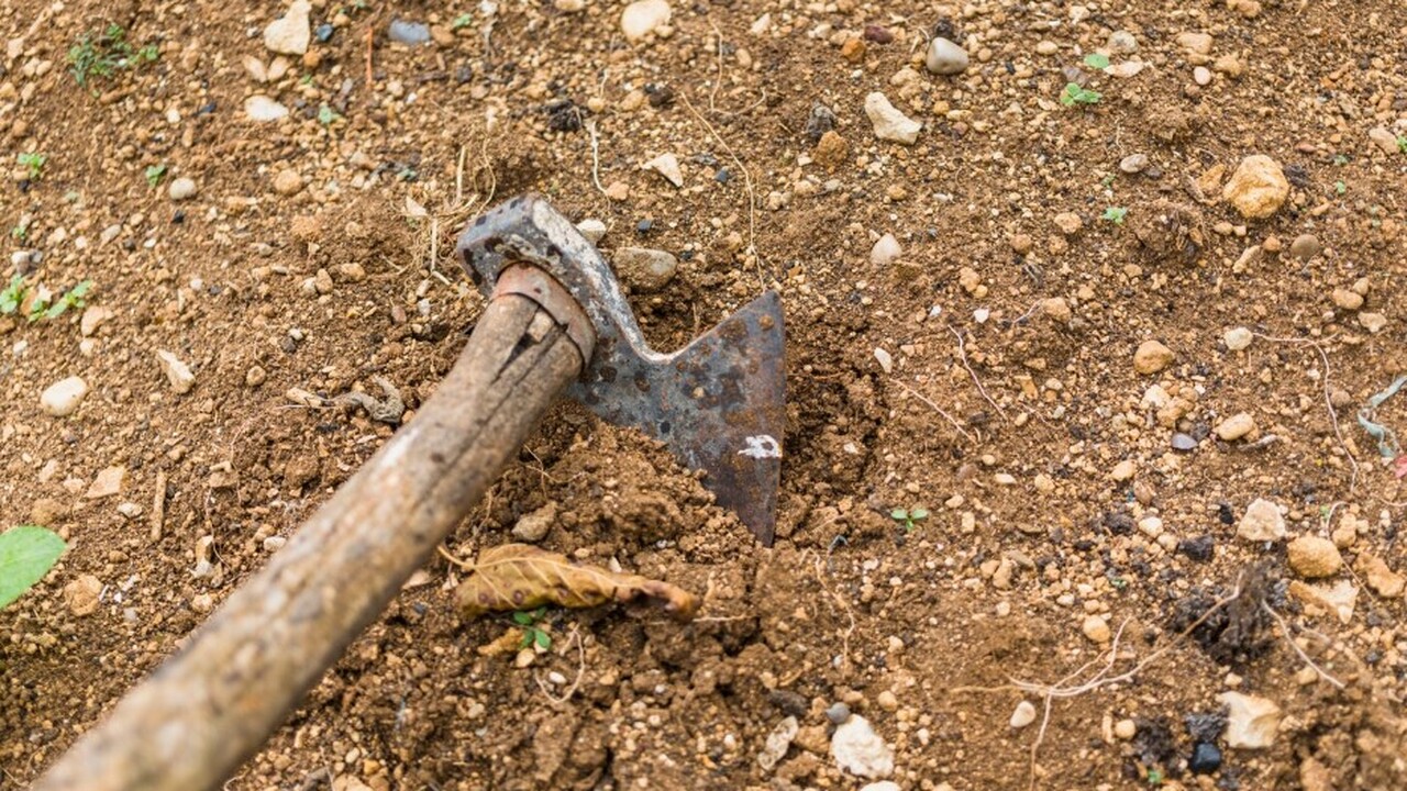 Череп неандертальца из Италии подверг сомнению гипотезу об «арктическом» носе Антропологи провели детальный анализ черепа неа...