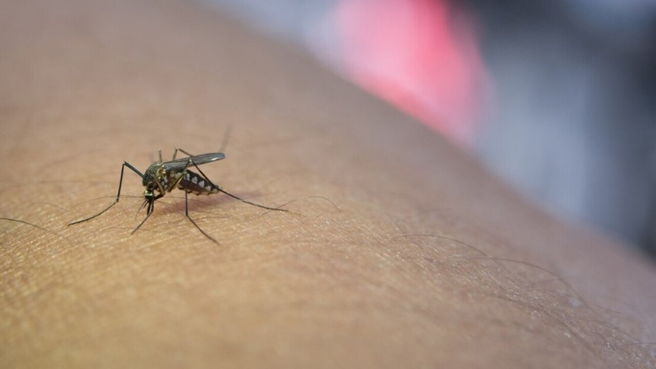 3D-печать представляет собой инновационную техн...