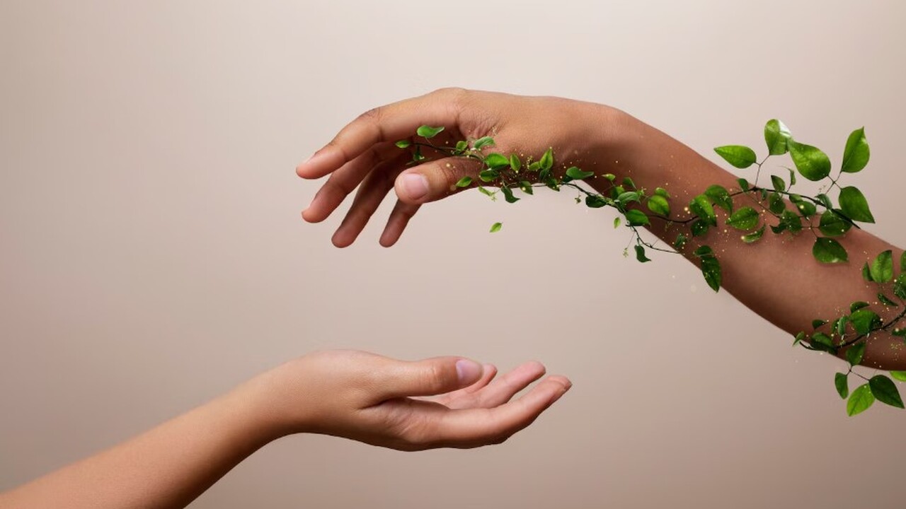 Как эволюция определила доминирующую руку и почему левши — особенные Левша как феномен человеческой асимметрии: эвол...