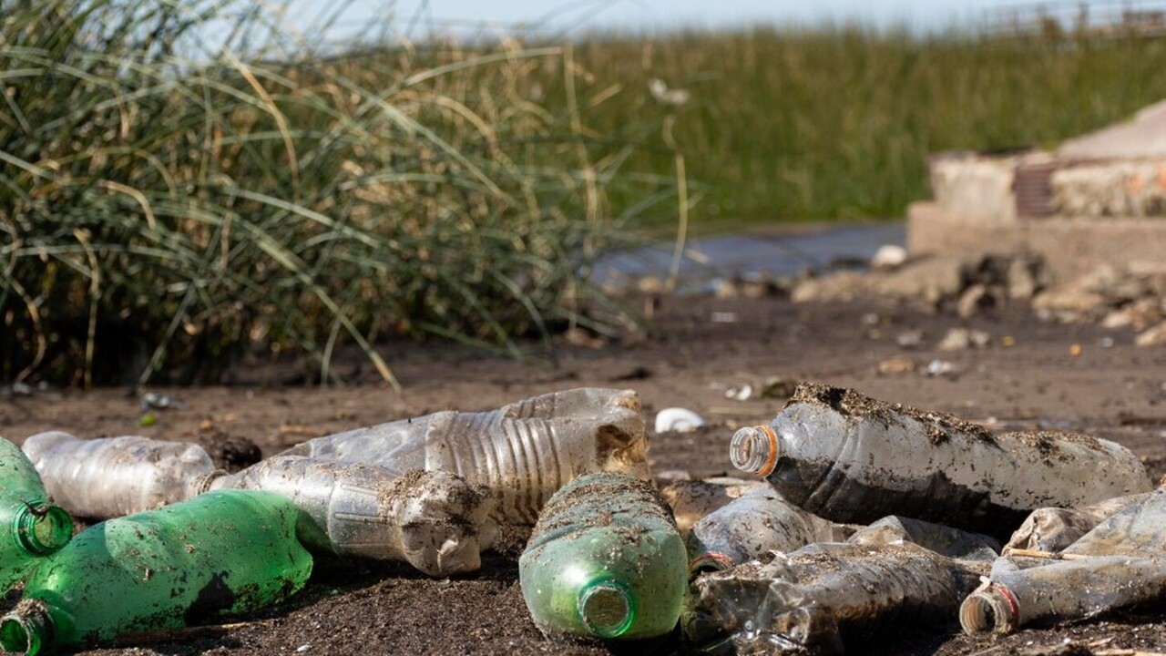 В ходе анализа образцов водопроводной воды, ото...