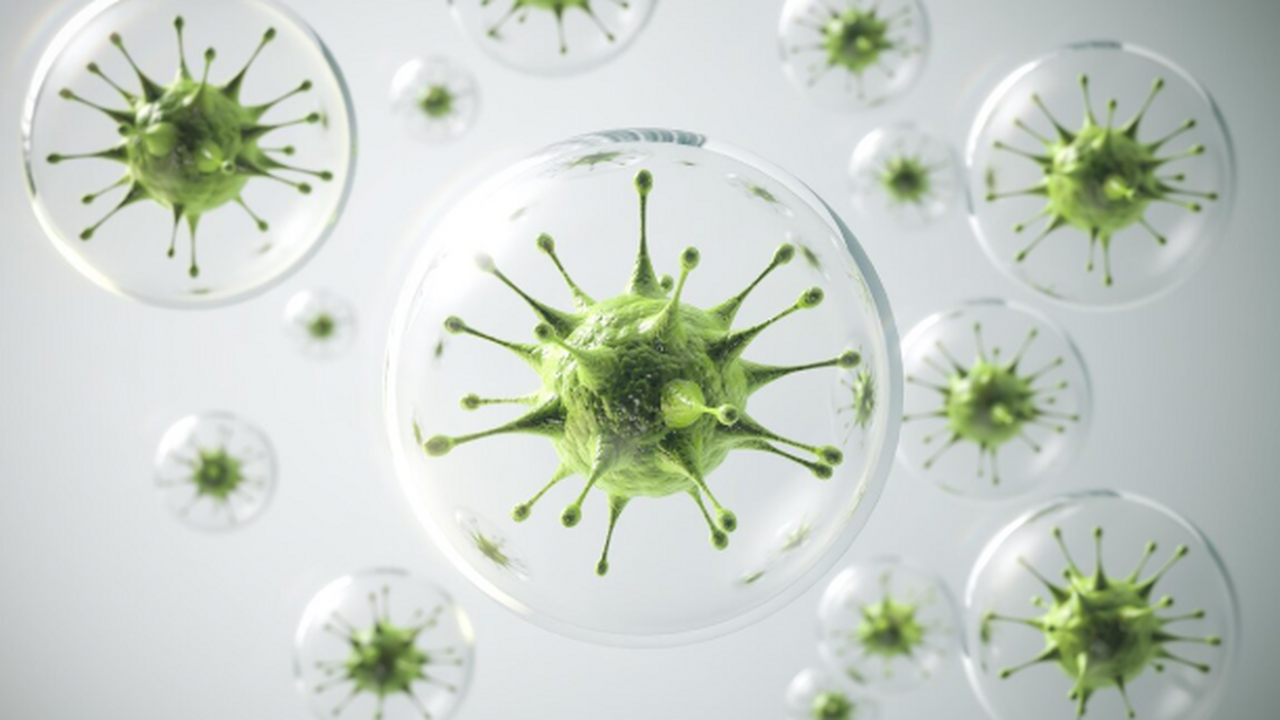 Бактерии обладали устойчивостью к антибиотикам ...